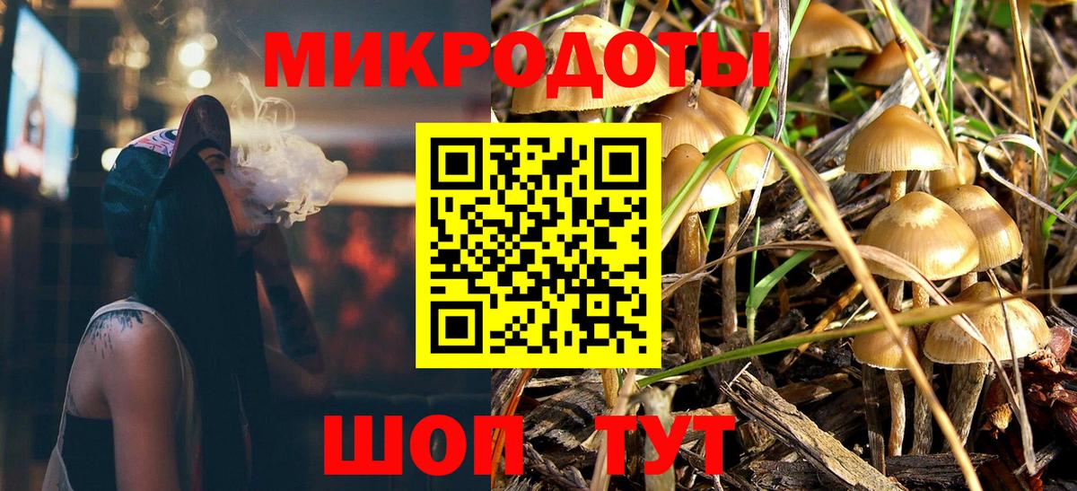 Псилоцибиновые грибы Psilocybe Елец