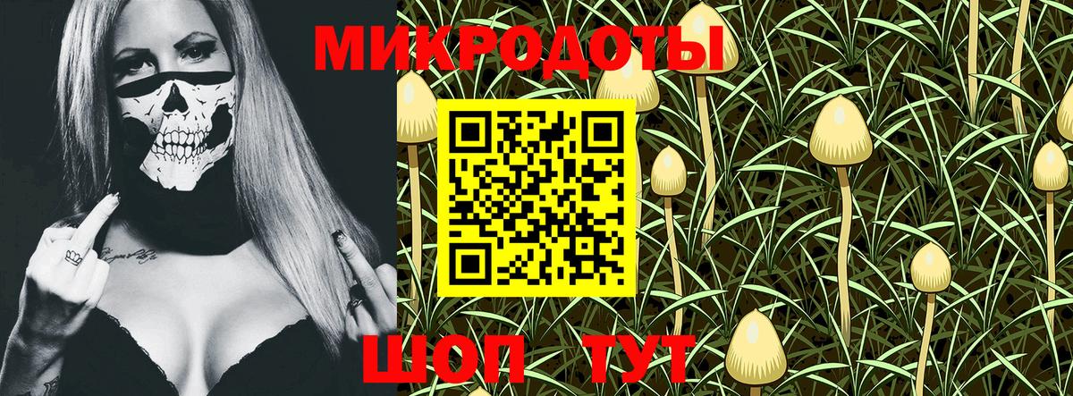 Псилоцибиновые грибы прущие грибы  Вход с VPN  Елец 